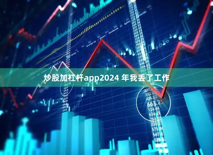 炒股加杠杆app2024 年我丢了工作